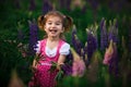 A small cheerful girl with two light tails on her head in a green field with purple flowers.