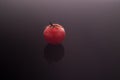 A small cherry tomato in dewdrops on a dark gray gradient background