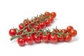 Small cherry tomatoes on a vine