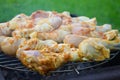Small chicken on grill Royalty Free Stock Photo