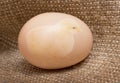 Small chicken in the middle of the egg, which lies on the sackcloth_ Royalty Free Stock Photo