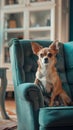 A small chihuahuan dog sitting on a chair. Generative AI