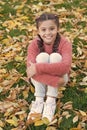 Small child with autumn leaves. Happy little girl in autumn forest. Autumn leaves and nature. Happy childhood. School Royalty Free Stock Photo