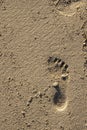 Small child bare foot print on a warm sand. Summer holiday and time concept. Copy space. Day on a beach Royalty Free Stock Photo