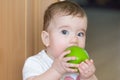 Small child with a big green apple. A child bites an apple with a surprised look
