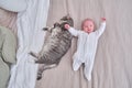 A small child boy is lying on the sofa next to a big cat. A newborn baby near a pet on the bed Royalty Free Stock Photo