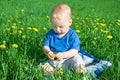 Small child the boy plays on a green meadow Royalty Free Stock Photo