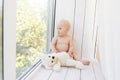 A small child a boy is sitting in diapers on the window with soft toys bears
