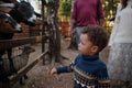 Small child boy in sweater looks at goats animals on farm or zoo