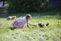The girl feeds the stray cat. Royalty Free Stock Photo