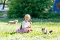 The girl feeds the stray cat. Royalty Free Stock Photo