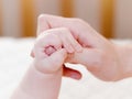 Small child is held by the hand Royalty Free Stock Photo