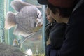 A small child and his father enthusiastically watching the big fish in the aquarium.