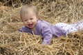 Small Child Laughing in a Pile of Straw Royalty Free Stock Photo