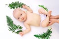 A small child of 6 months lies among green leaves on a white isolated background, the baby and mother`s hands Royalty Free Stock Photo