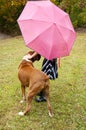 Small child, pink umbrella, striped dress, and boxer bulldog plays in the rain.