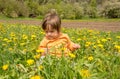 Small child playing on a green meadow surrounded with yellow flowers Royalty Free Stock Photo