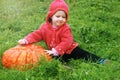 A small child in a red gnome costume sitting on a huge pumpkin on the grass. Sunny warm day. copy space for text. The symbol and c