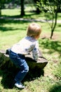 Small child sits on a large tree stump in the park among the greenery