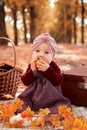 A small child is sitting in an autumn Park eating an Apple Royalty Free Stock Photo