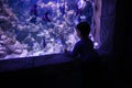 A small child watches fish in an aquarium. Oceanarium. Ocean fish in the aquarium. Nature protection concept. Happy child