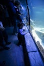 A small child watches fish in an aquarium. Oceanarium. Ocean fish in the aquarium. Nature protection concept. Happy child