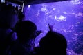 A small child watches fish in an aquarium. Oceanarium. Ocean fish in the aquarium. Nature protection concept. Happy child