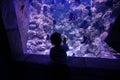 A small child watches fish in an aquarium. Oceanarium. Ocean fish in the aquarium. Nature protection concept. Happy child
