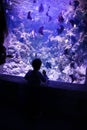 A small child watches fish in an aquarium. Oceanarium. Ocean fish in the aquarium. Nature protection concept. Happy child