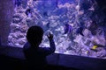 A small child watches fish in an aquarium. Oceanarium. Ocean fish in the aquarium. Nature protection concept. Happy child