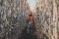 A small child in a wheat field stands with his back to the viewer. little child walks in a wheat field. a little boy in a wheat