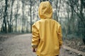 Small child in yellow raincoat with a hood is walking in the dark scary woodland Royalty Free Stock Photo