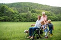 Small children with senior grandparents and dog on a walk on meadow in nature. Royalty Free Stock Photo