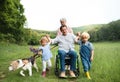 Small children with senior grandparents and dog on a walk on meadow in nature. Royalty Free Stock Photo