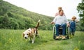 Small children with senior grandparents and dog on a walk on meadow in nature. Royalty Free Stock Photo