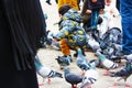 Small children on a winter day playing in a square in a European city. They enjoy chasing pigeons and feeding them Royalty Free Stock Photo