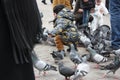 Small children on a winter day playing in a square in a European city. They enjoy chasing pigeons and feeding them Royalty Free Stock Photo