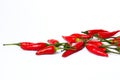 Small chilli pepper close up isolated on white. Food ingredients