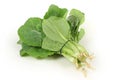 Small Chinese cabbage