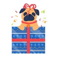 Small christmas dog in gift box for sale or celbrate card poster design cartoon vector illustration isolated on white Royalty Free Stock Photo