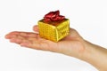 Small christmas gift Royalty Free Stock Photo