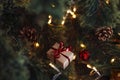 Small Christmas gift box on Christmas tree branches with cones and lights Royalty Free Stock Photo