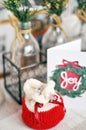 Small Christmas gift Royalty Free Stock Photo