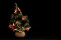 Small Christmas tree Royalty Free Stock Photo