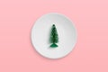 Small Christmas tree in a plate. Minimal Christmas celebration concept Royalty Free Stock Photo