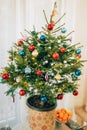 A small Christmas tree in a pot, decorated with balls, garlands Royalty Free Stock Photo