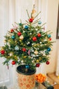 A small Christmas tree in a pot, decorated with balls, garlands Royalty Free Stock Photo