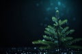 a small christmas tree with water droplets on it Royalty Free Stock Photo