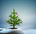 Small Christmas trees or young fir tree growing on soil in winter snowing weather with red heart on the branch, love the