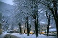 Small city under snow.Big trees near the main road. Royalty Free Stock Photo